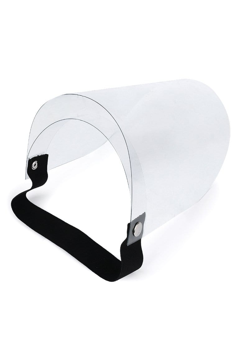 Third Day AMA11 Facemask visor man